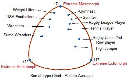 Different body types (somatotypes) (A) Ectomorph, (B) mesomorph