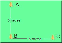 L Test or 3 Cone Test