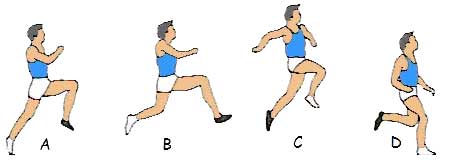 Long Jump Technique Step-by-Step Instruction